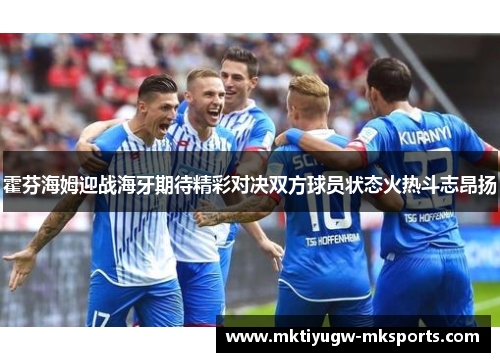 霍芬海姆迎战海牙期待精彩对决双方球员状态火热斗志昂扬